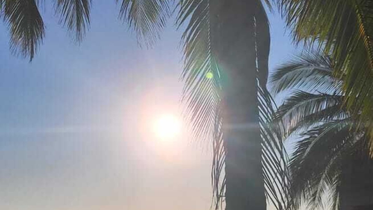 Photo of Outdoor in Aticama