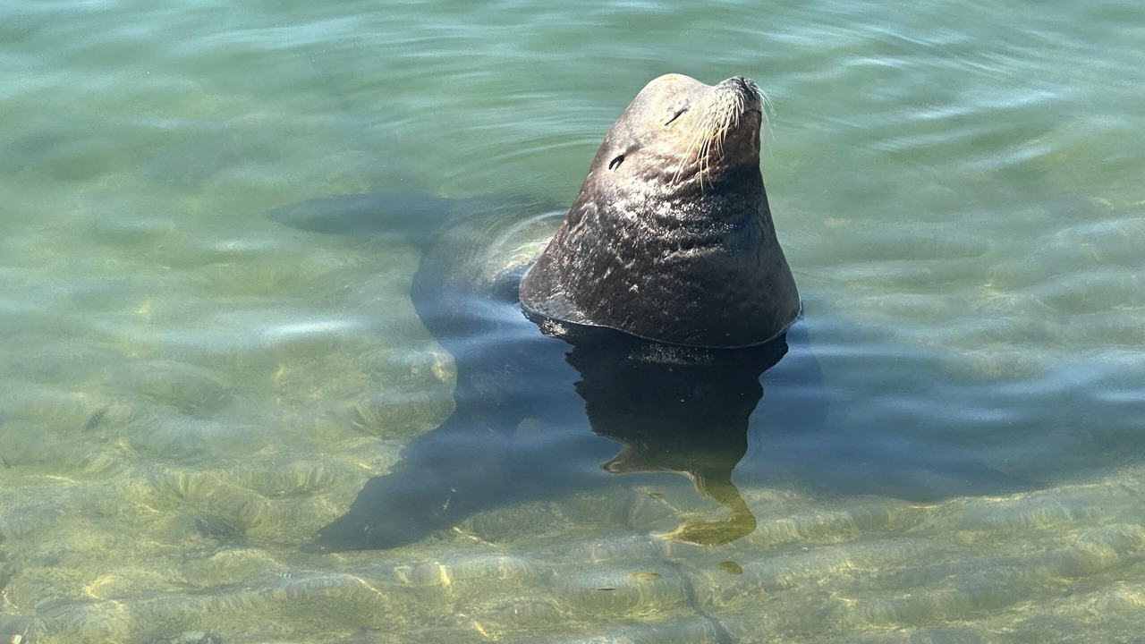Photo of Others in San Jose del Cabo