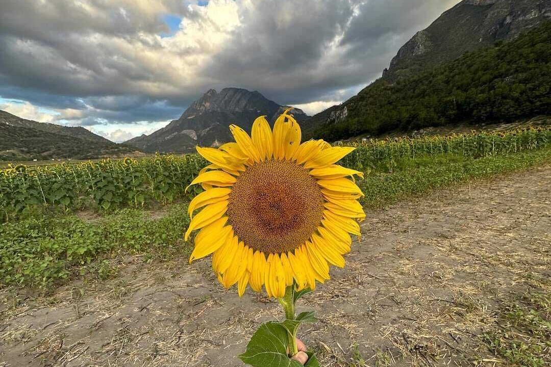 Photo of Others in Monterrey