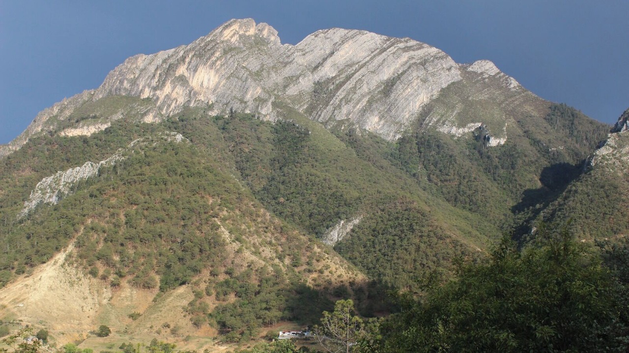 Photo of Others in Monterrey