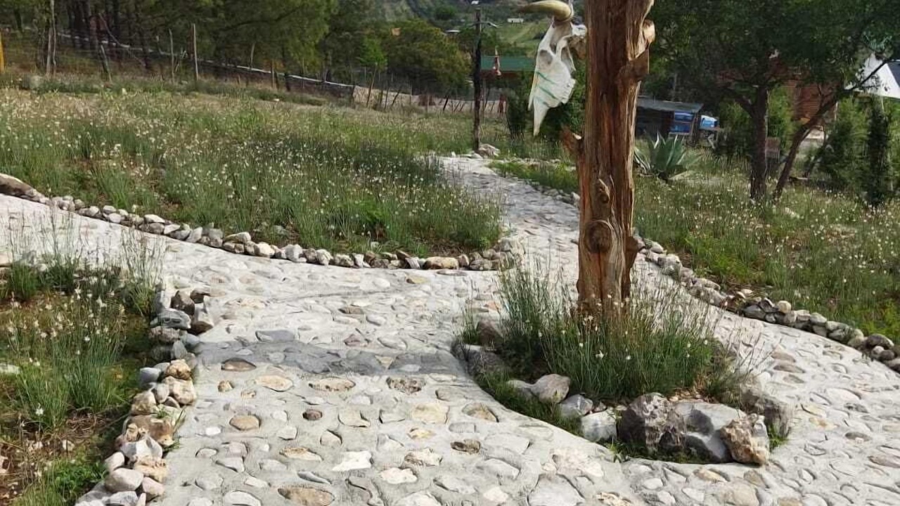 Photo of Others in Monterrey