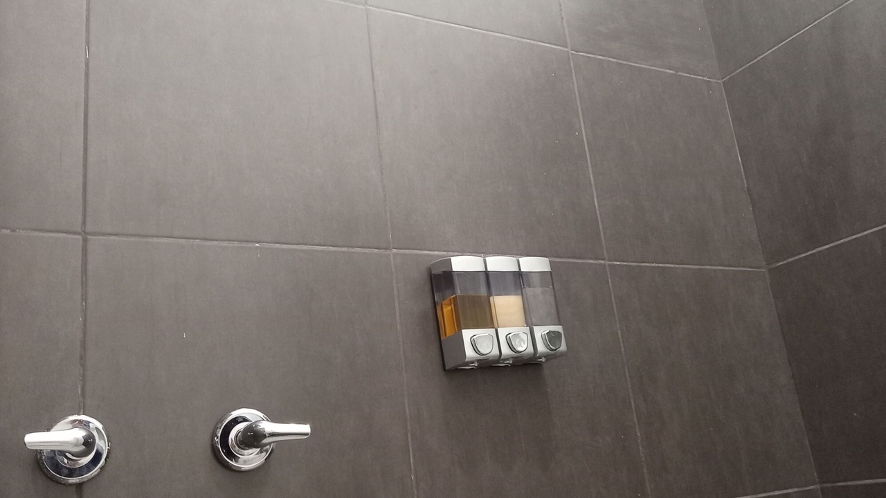 Photo of Bathroom in Monterrey Centro