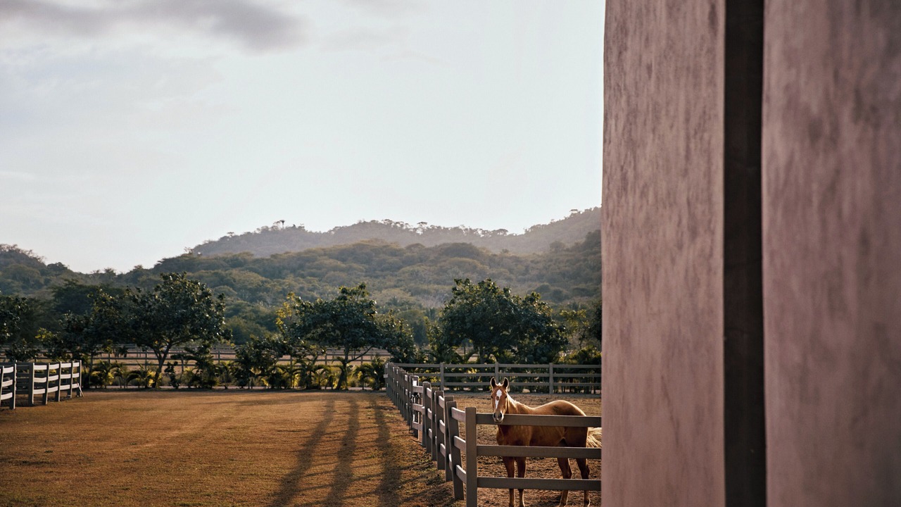 Photo of Outdoor in El Monteon