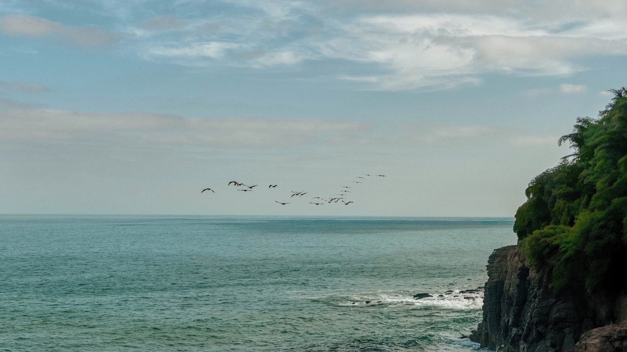 Photo of Others in El Monteon