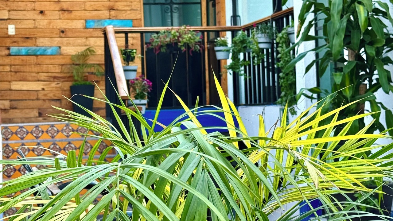 Photo of Outdoor in La Cruz