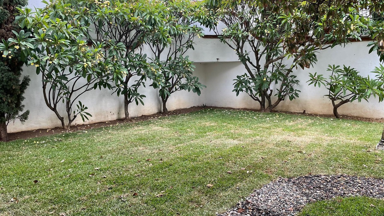 Photo of Outdoor in Oaxaca