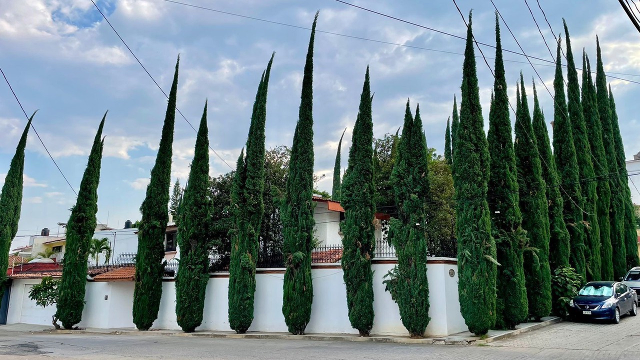 Photo of Outdoor in Oaxaca