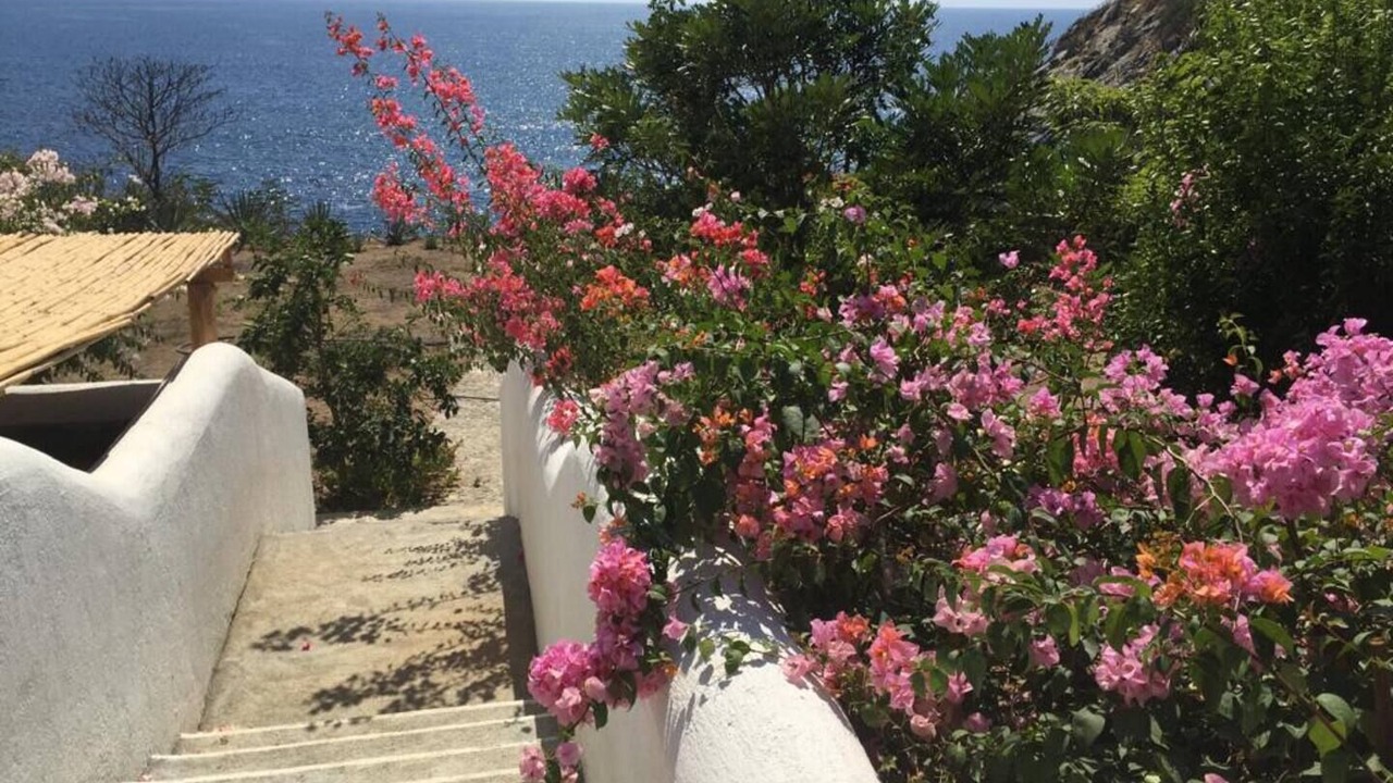 Photo of Outdoor in Puerto Angel