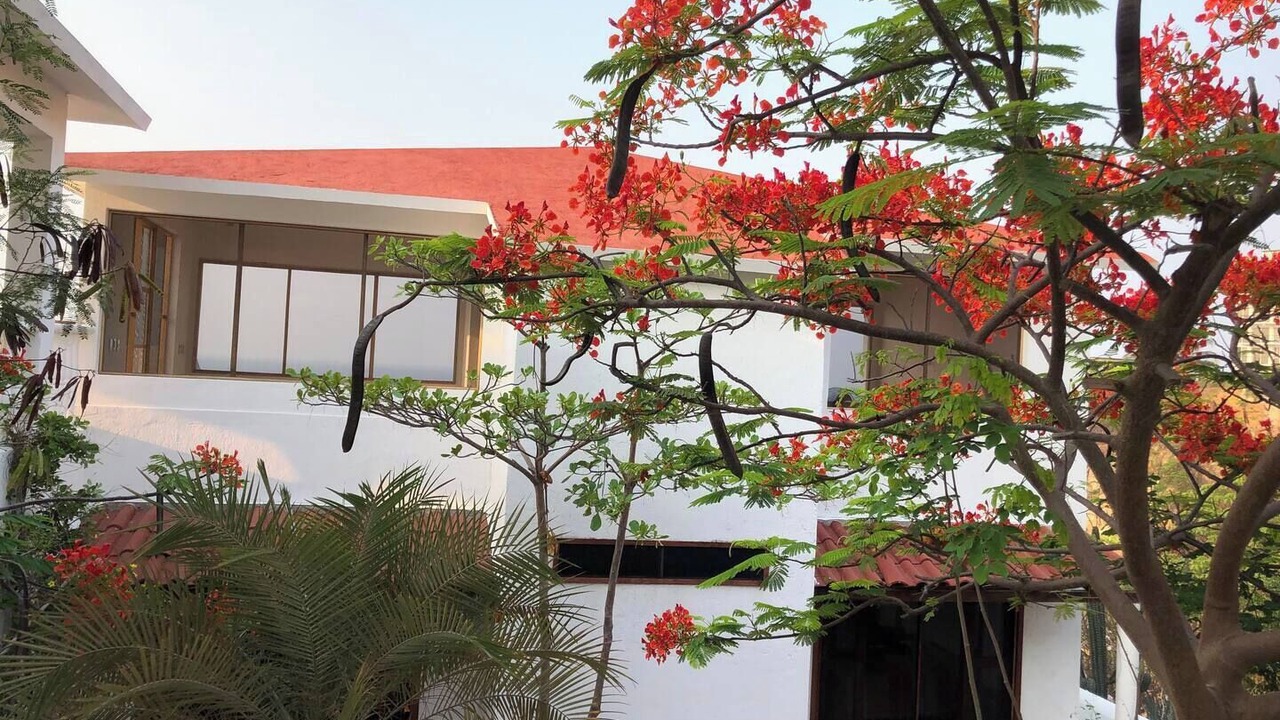 Photo of Outdoor in Puerto Angel