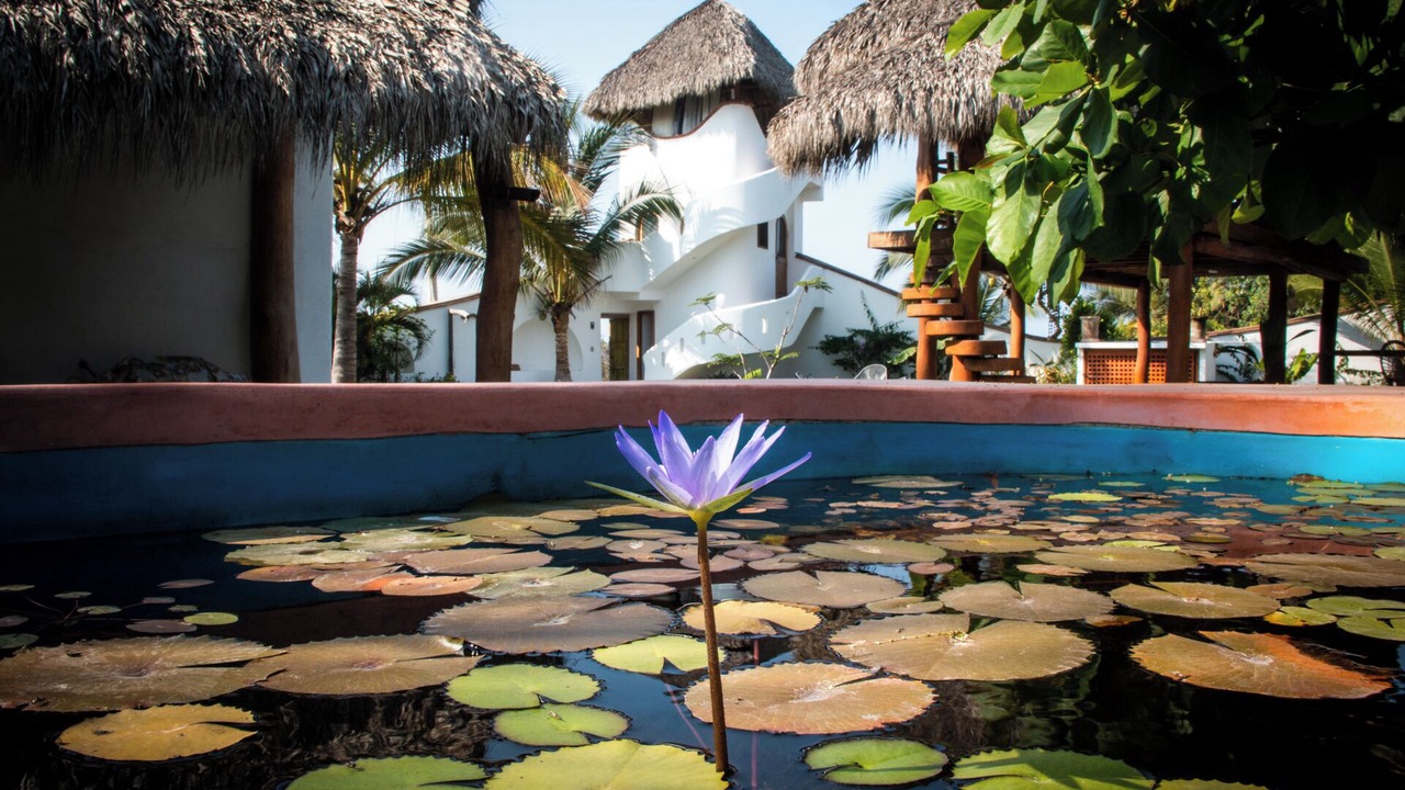 Photo of Livingroom in Troncones
