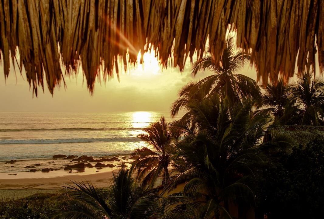 Photo of Outdoor in Troncones
