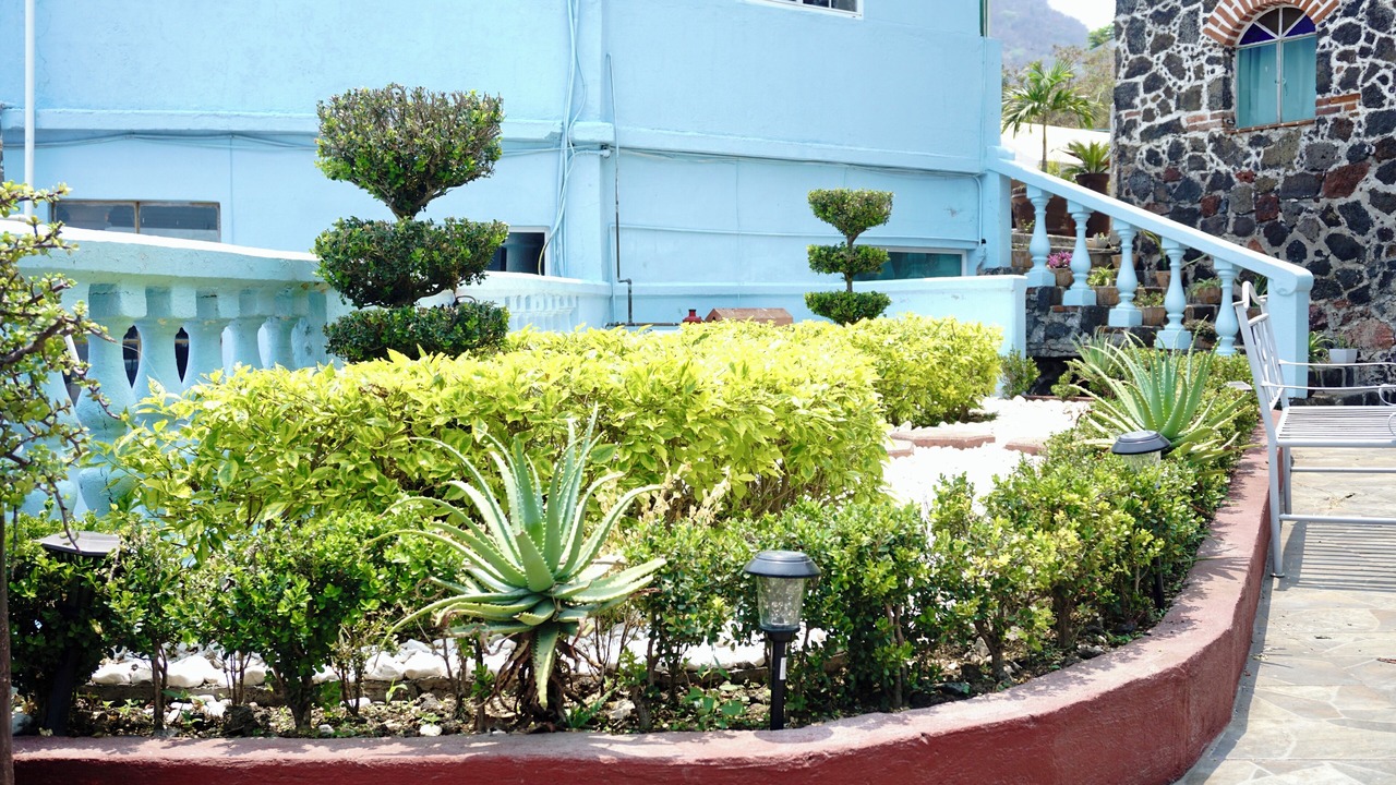 Photo of Outdoor in Cuernavaca