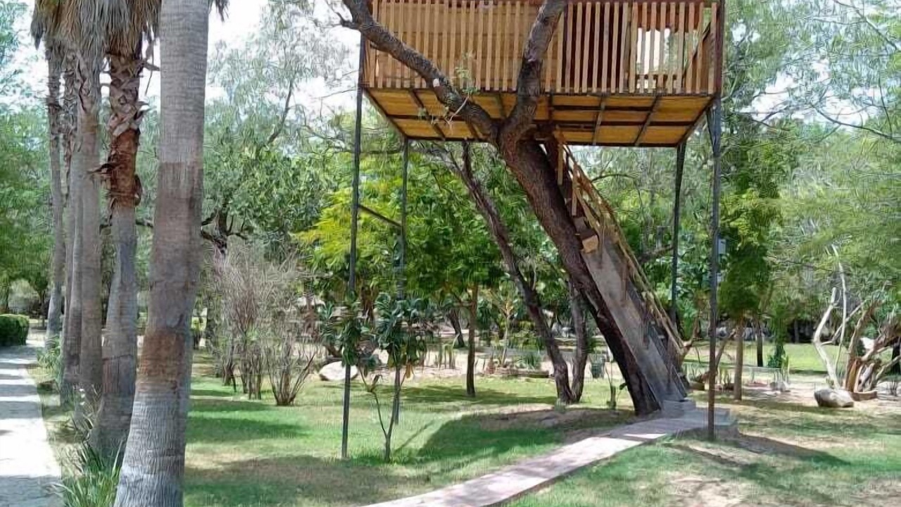 Photo of Outdoor in El Fuerte