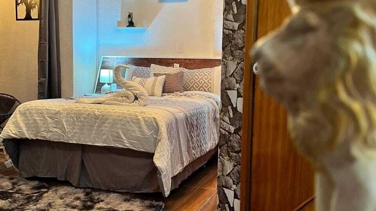 Photo of Bedroom in Orizaba
