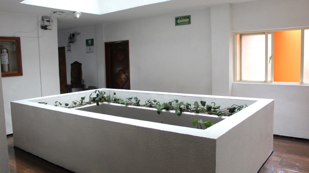 Photo of Others in Orizaba