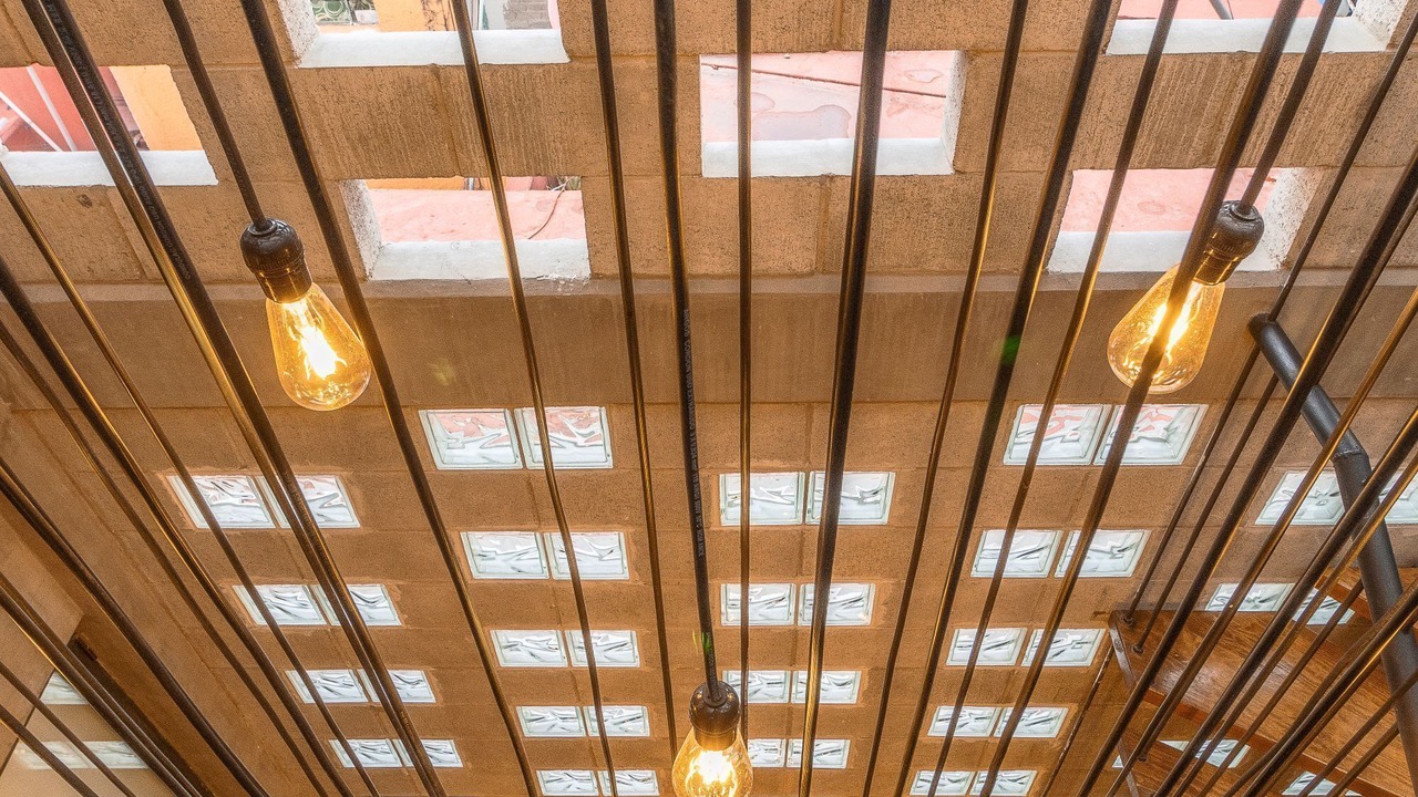 Photo of Others in Reforma