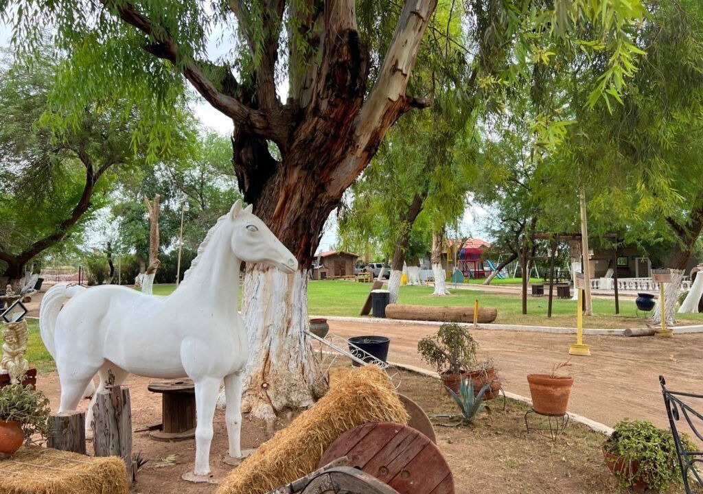 Photo of Others in Mexicali