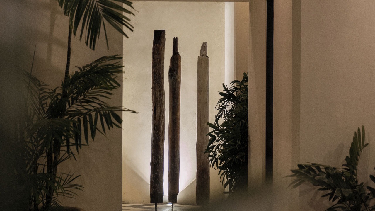 Photo of Patio Balcony in Zona Centro