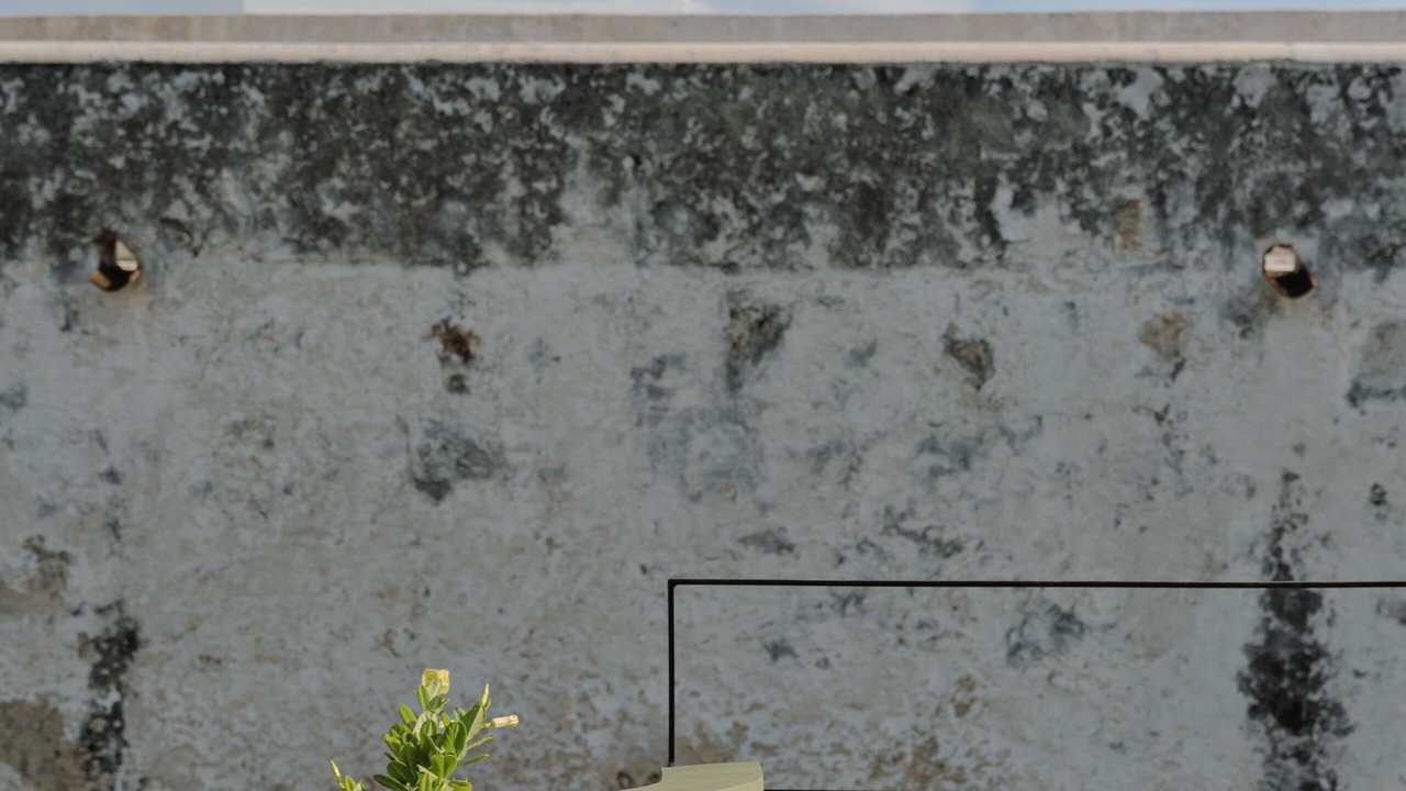Photo of Outdoor in Zona Centro