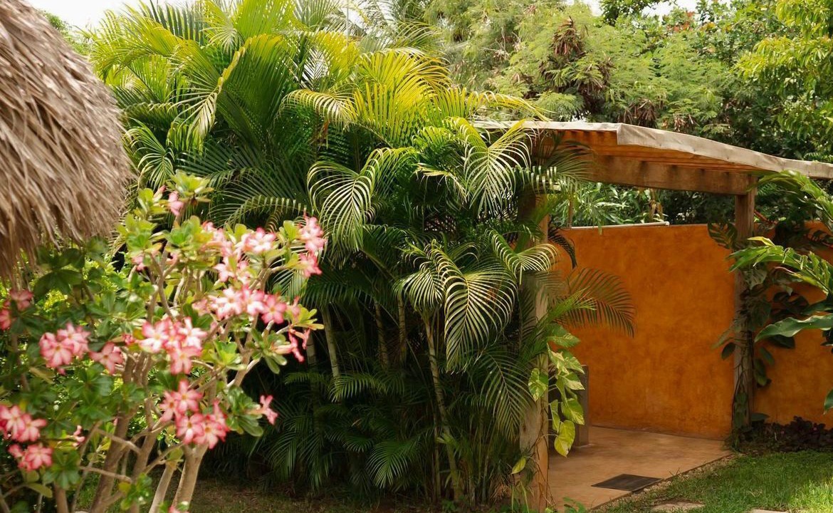 Photo of Outdoor in Los Tamarindos
