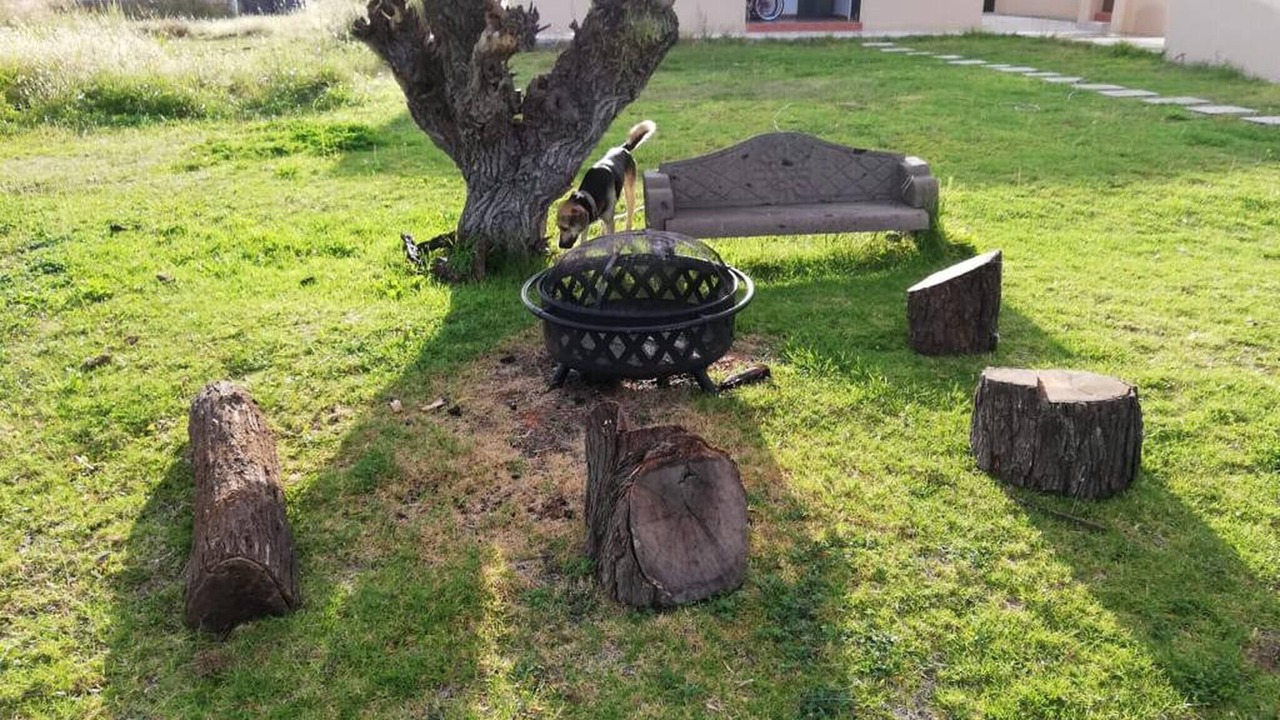 Photo of Outdoor in El Marques