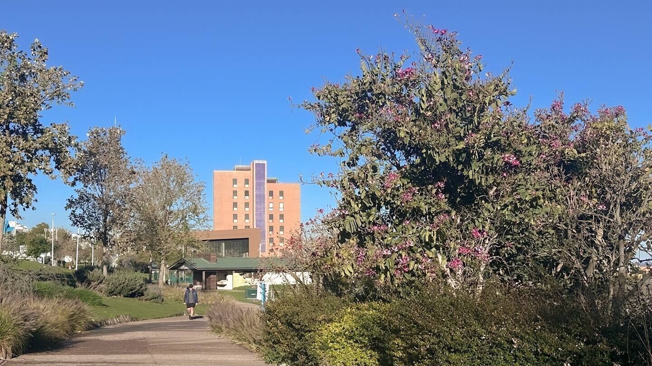 Photo of Outdoor in El Marques