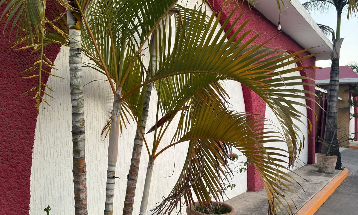 Photo of Outdoor in Cuautla