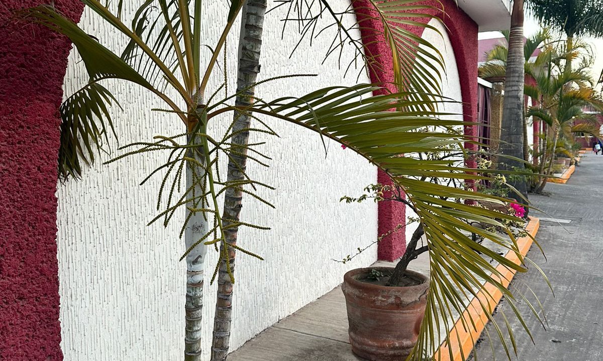 Photo of Outdoor in Cuautla