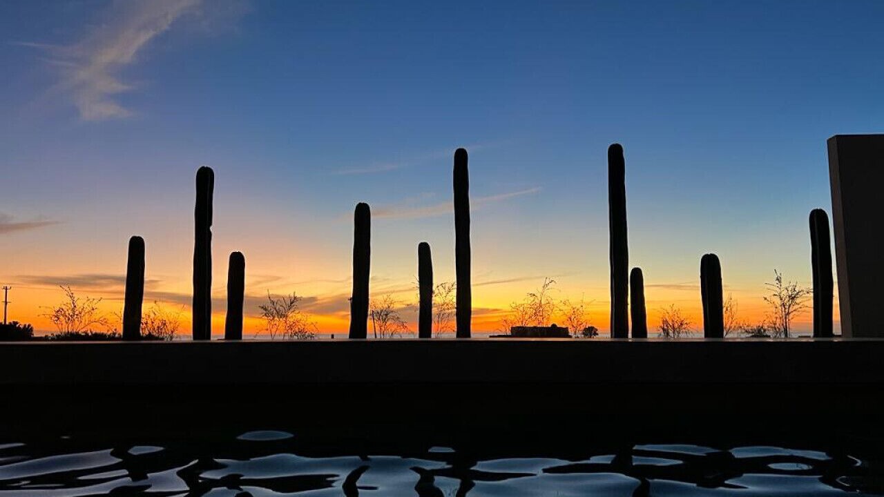 Photo of Outdoor in Todos Santos