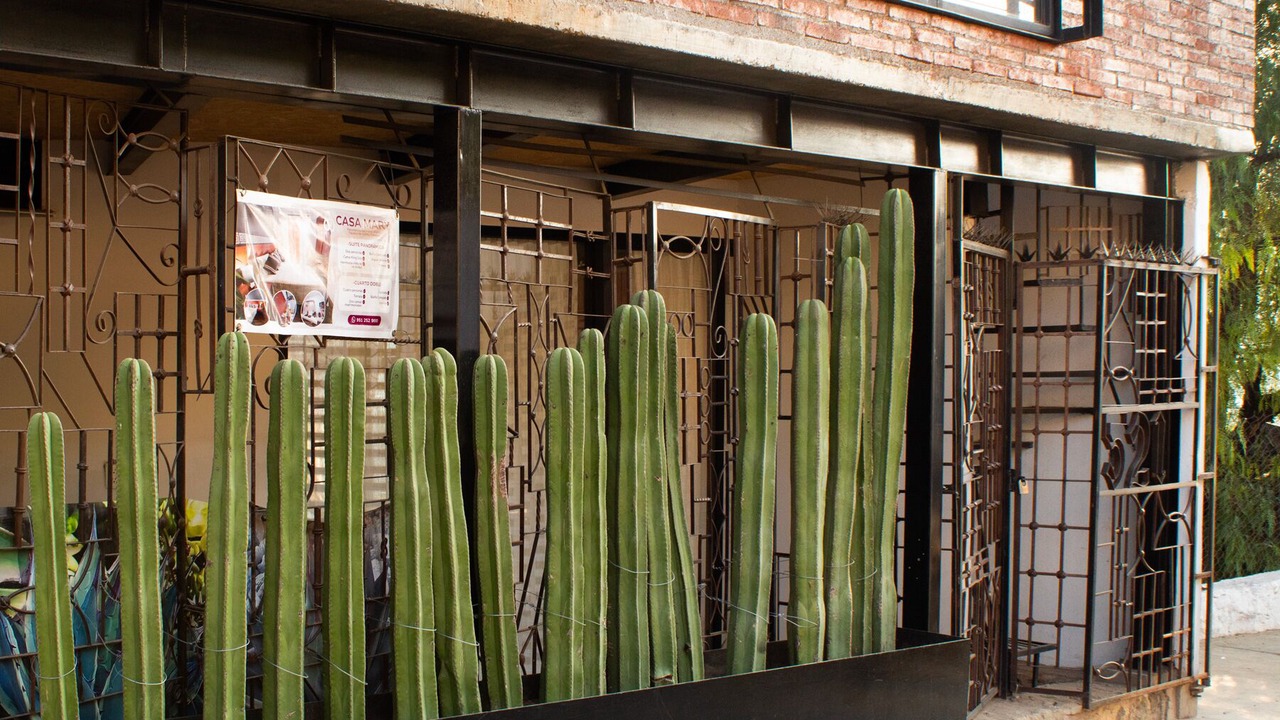 Photo of Outdoor in Calzada Madero