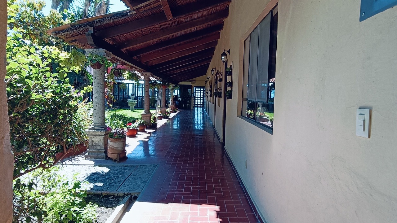 Photo of Outdoor in Ajijic