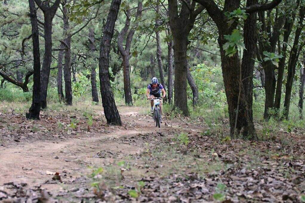 Photo of Others in Zapopan