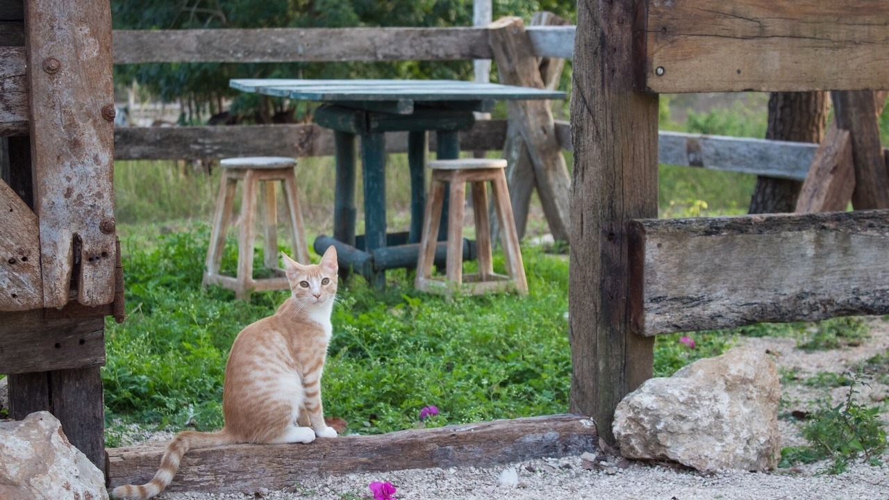 Photo of Outdoor in Yucatan Peninsula