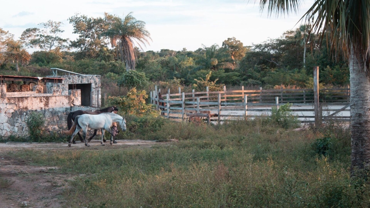 Photo of Patio Balcony in Yucatan Peninsula