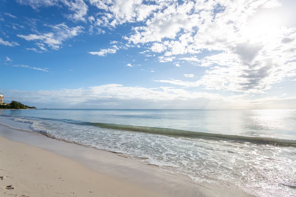 Photo of Others in Jimenez