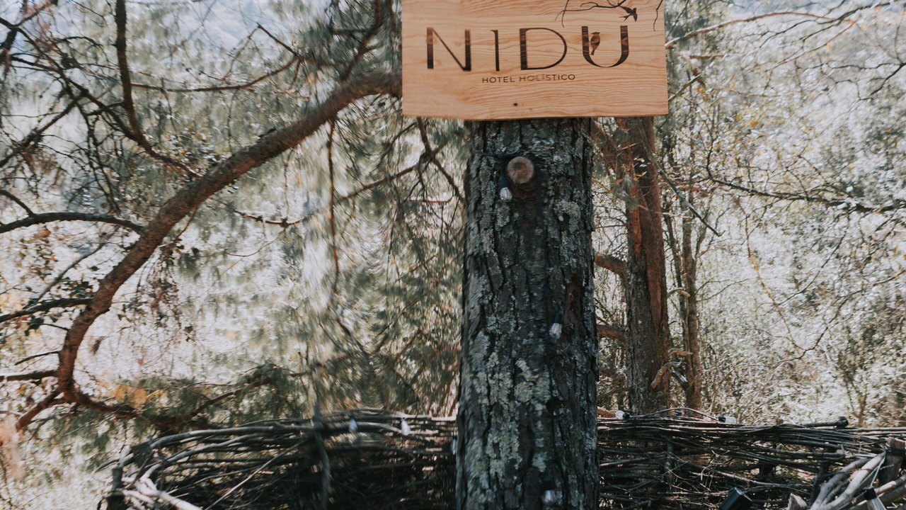 Photo of Outdoor in Hidalgo