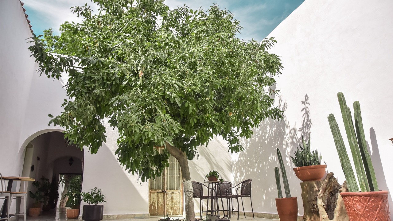 Photo of Bedroom in Parras de la Fuente
