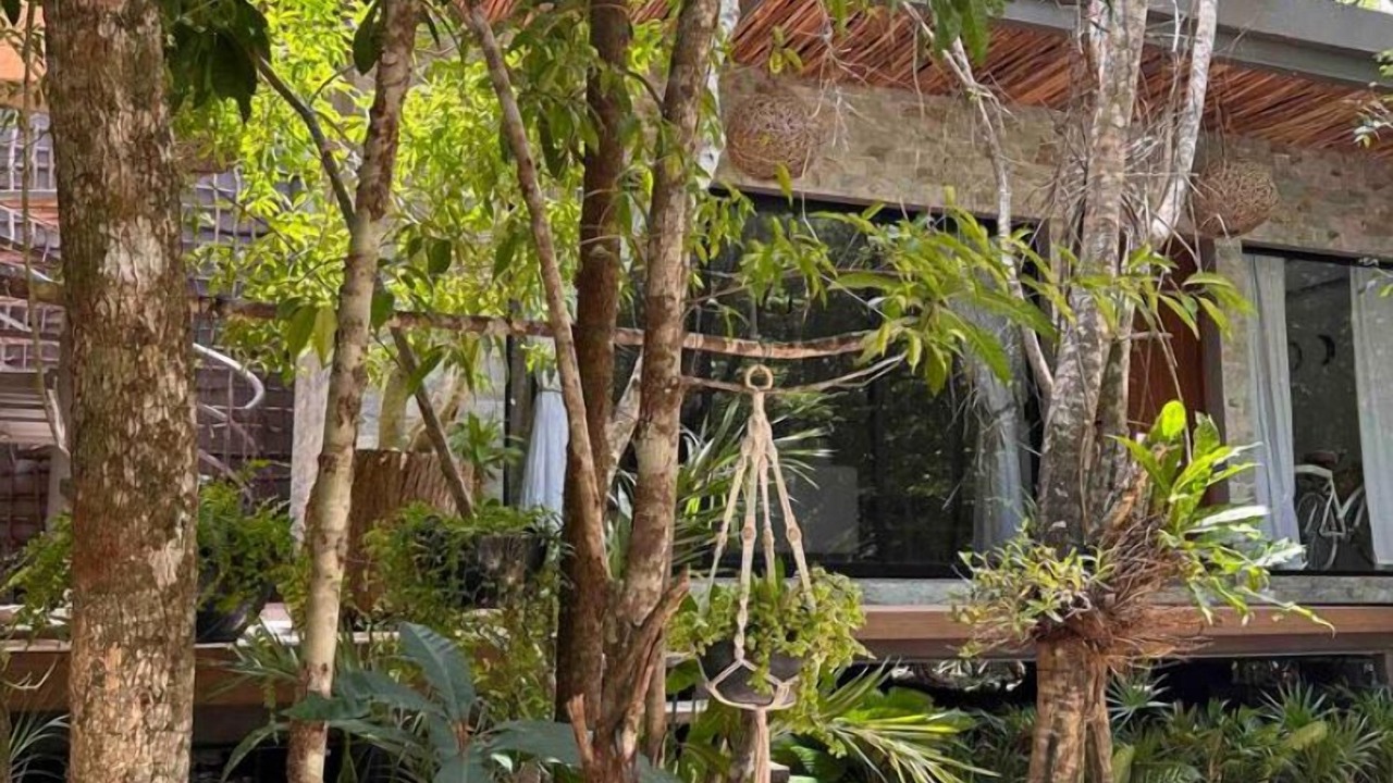 Photo of Outdoor in Puerto Morelos