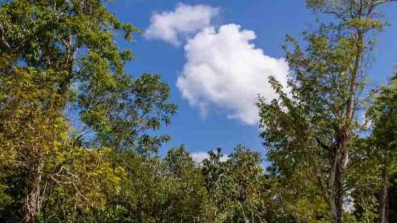 Photo of Outdoor in Puerto Morelos