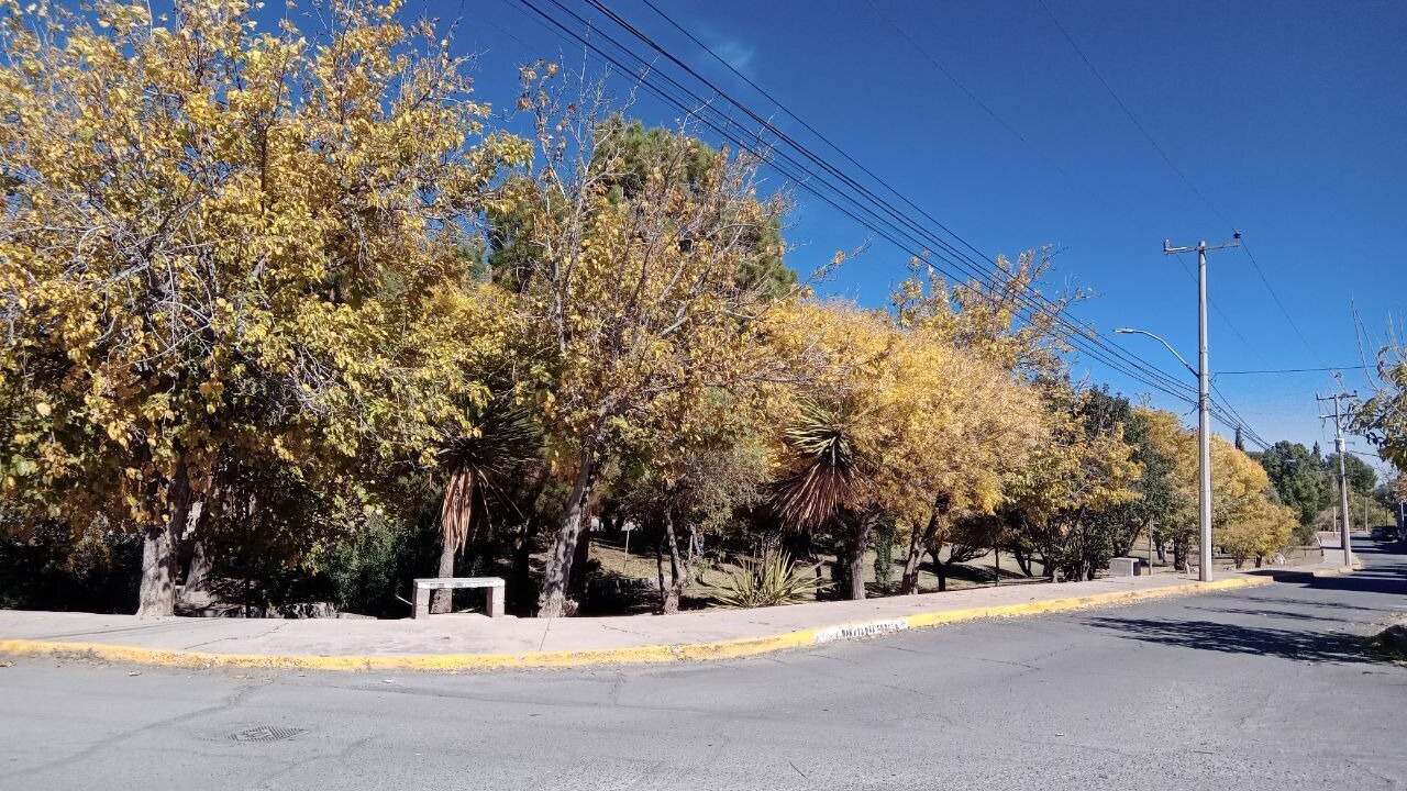 Photo of Outdoor in Campestre-Lomas
