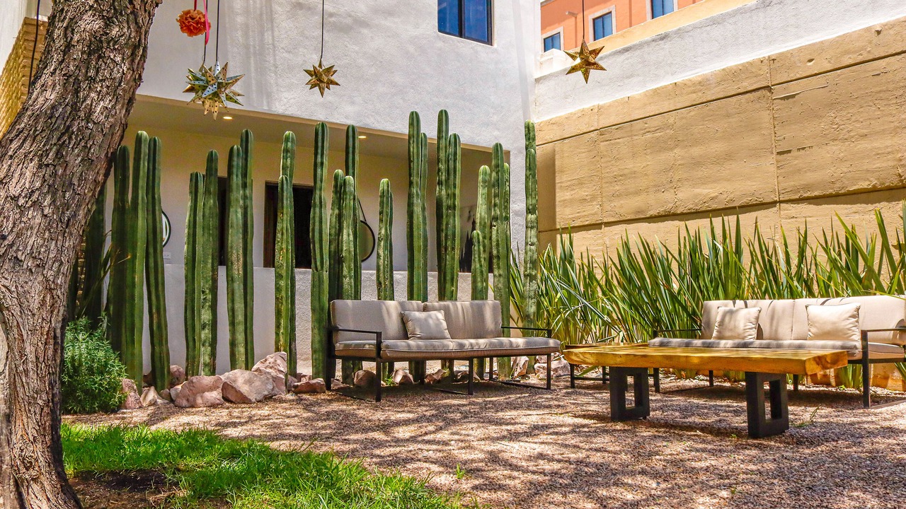 Photo of Outdoor in San Miguel de Allende