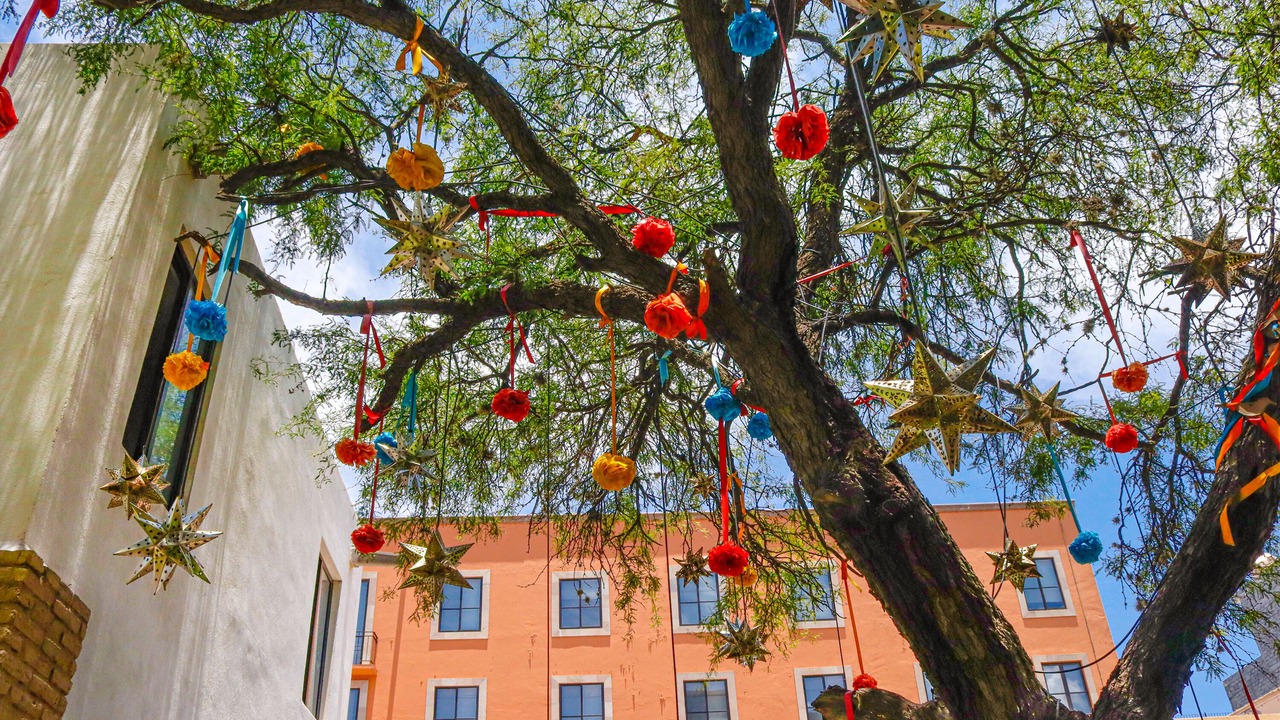 Photo of Outdoor in San Miguel de Allende
