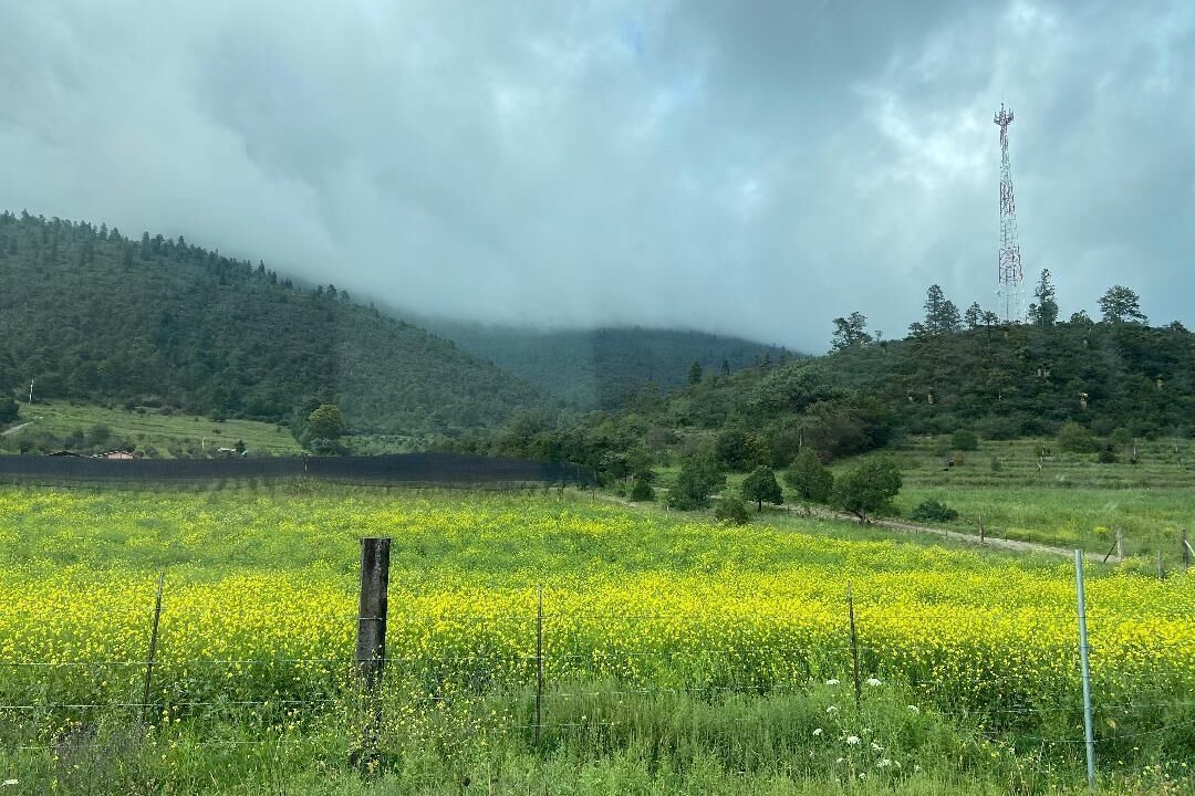 Photo of Outdoor in Arteaga