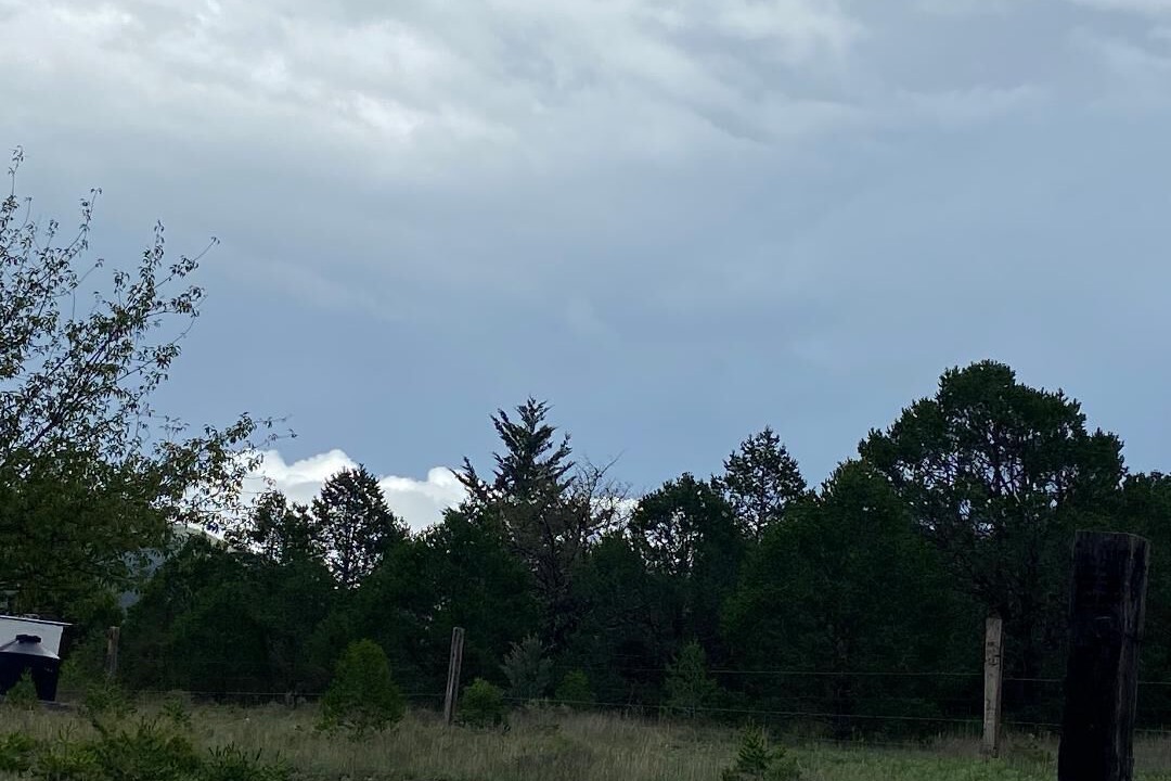Photo of Outdoor in Arteaga