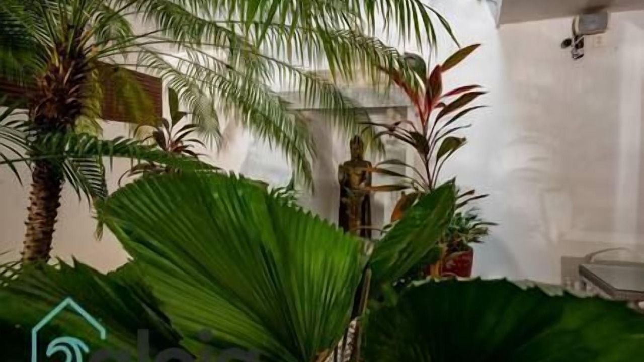 Photo of Outdoor in Tulum City Center