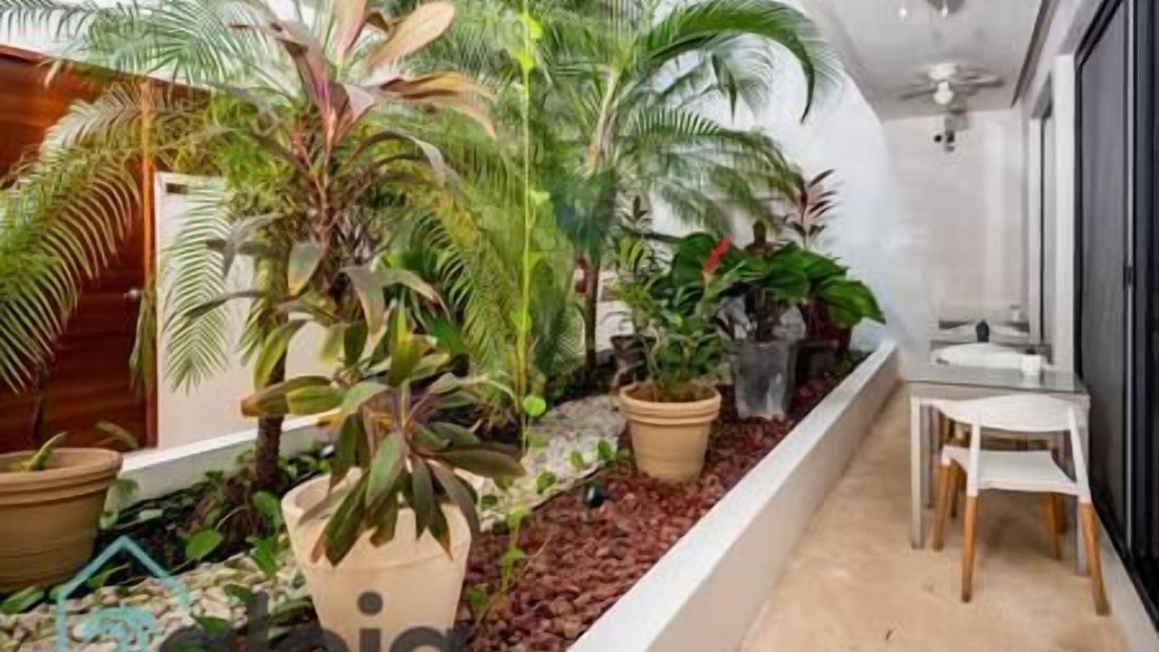 Photo of Outdoor in Tulum City Center