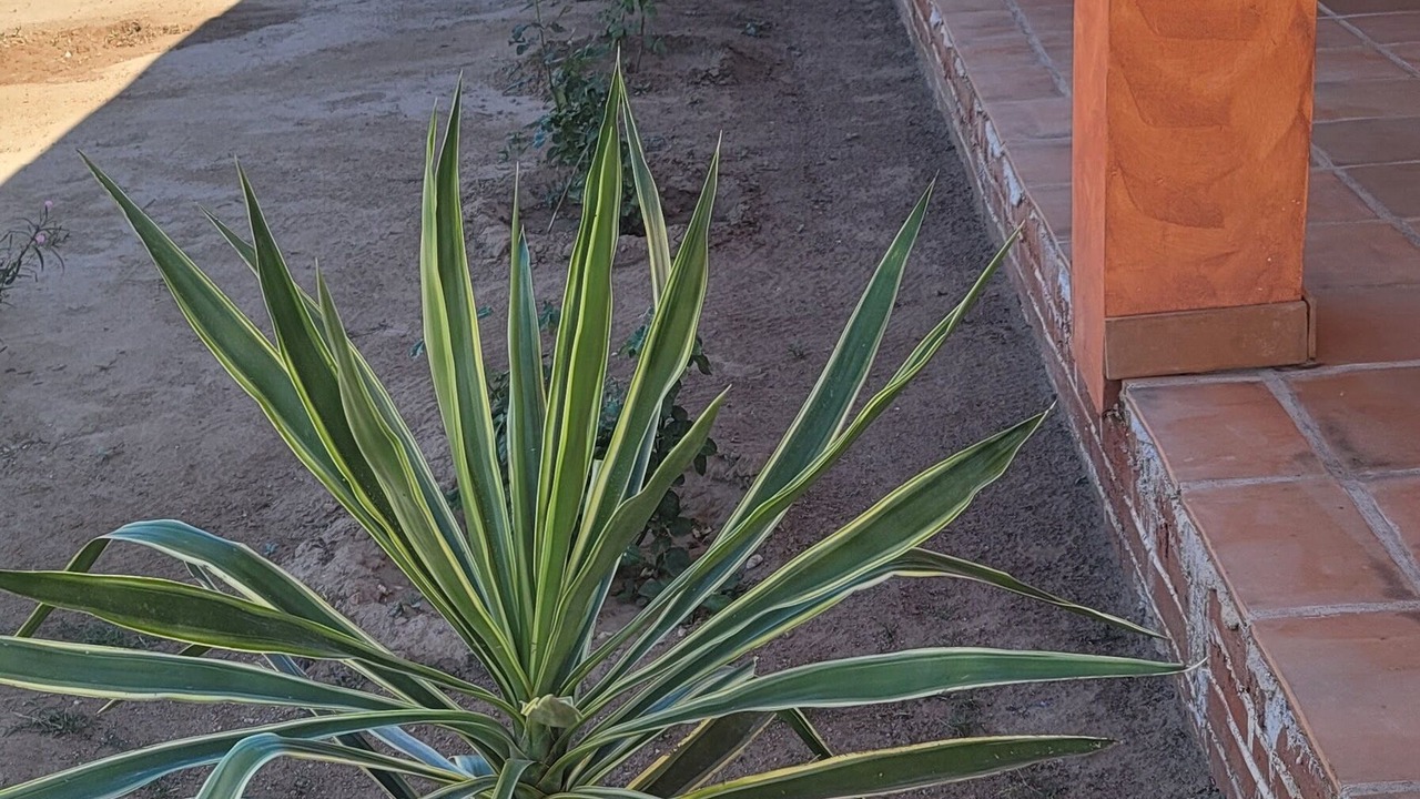 Photo of Outdoor in Badiraguato