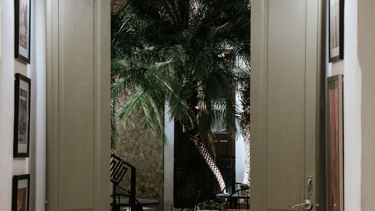 Photo of Others in Zona Paseo Montejo