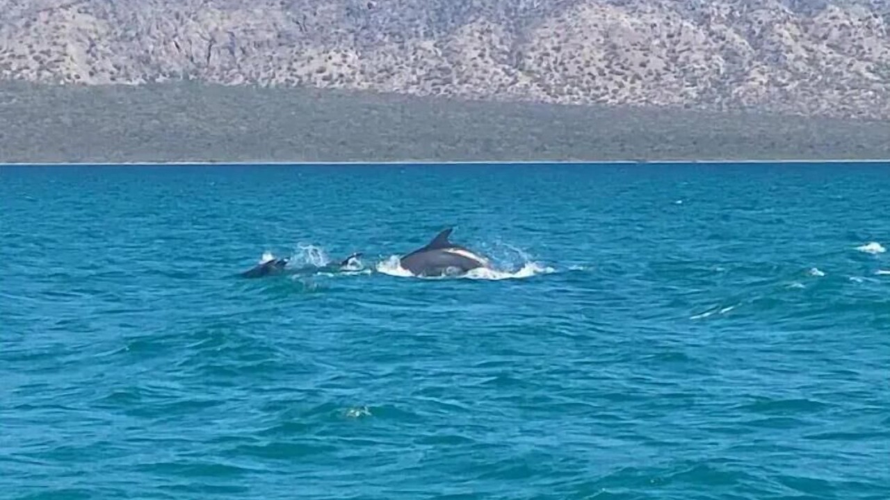 Photo of Others in Mulege