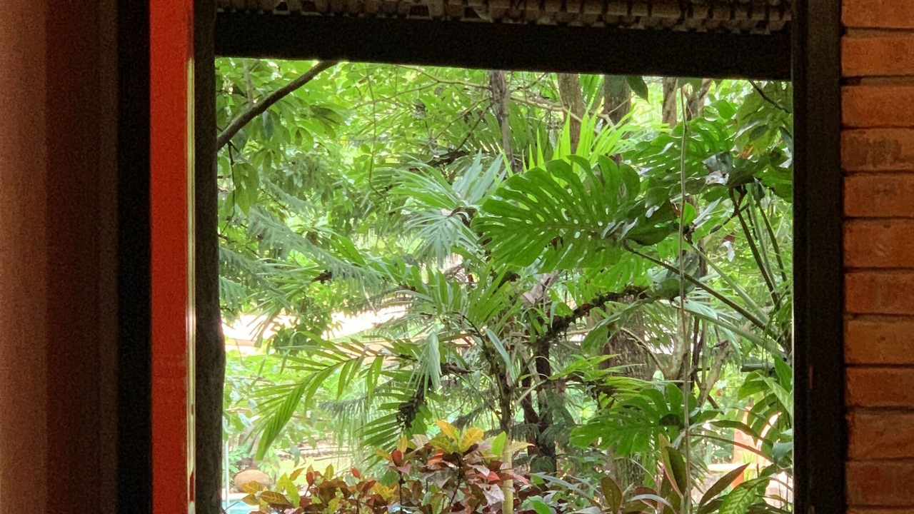 Photo of Bedroom in Huehuetlan